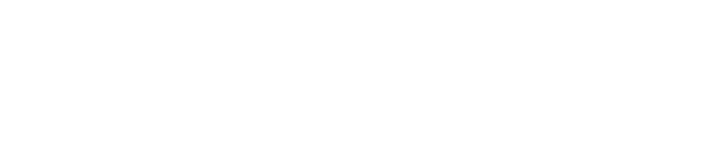 Solomon Data Systems